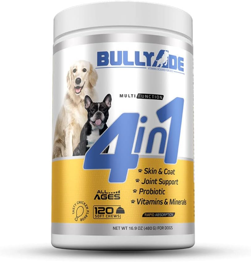 4 i 1 - Probiotisk, gemensamt stöd, hud och rock, multi-Vitamin Soft Chews för hundar, 16,9 oz