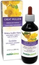 Naturalma Great Mullein eller Common Mullein (Verbascum thapsus) Flower och Leaf Alcohol-Free Tincture - 6,76 fl oz Liquid Extract i droppar - Herbal Supplement - Vegan