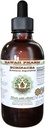 Echinacea Alcohol-Free Liquid Extract, Echinacea (Echinacea Angustifolia) Torkade Root Glycerite Hawaii Pharm Natural Herbal Supplement 4 oz