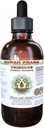 Tribulus Alcohol-Free Liquid Extract, Tribulus (Tribulus Terrestris) Torkade frukt Glycerit Natural Herbal Supplement, Hawaii Pharm, USA 2 fl.oz