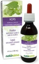Naturalma Hops (Humulus lupulus) strobilus or Cone (Female Flowers) Alcohol-Free Tincture - 4 fl oz Liquid Extract in Drops - Herbal Supplement - Vegan
