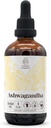 Ashwagandha Alcohol-Free Natural Tincture Extract, Immune System Booster, Liquid Drops Made från 100% Ashwagandha (Withania somnifera) Dried Root (4 fl oz)