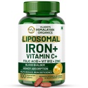 HIMALAYAN ORGANICS Organics Chelated Iron med vitamin C, B12, Zinc & Folic Acid | Boost Hemoglobin nivåer | Förbättrar koncentrationsnivå, Energy & Blood Building-120 Veg tabletter