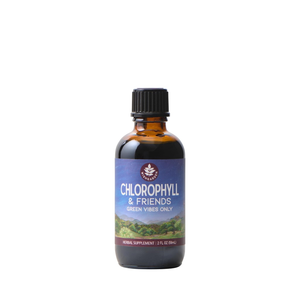 WishGarden Herbs Chlorophyll & Friends - Chlorophyll Liquid Drops med Nettle Leaf, Holy Basil, Moringa Leaf & Peppermint Leaf, stöder ökad energi, hälsosam immun och stressrespons, 2oz