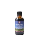 WishGarden Herbs Chlorophyll & Friends - Chlorophyll Liquid Drops med Nettle Leaf, Holy Basil, Moringa Leaf & Peppermint Leaf, stöder ökad energi, hälsosam immun och stressrespons, 2oz