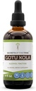 Hemligheter i Tribe Gotu Kola Tincture Alcohol Liquid Extract, Gotu Kola (Centella Asiatica) Torkade Herb (4 FL OZ)