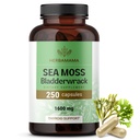 HERBAMAMA Irish Sea Moss Capsules - 1600mg Sea Moss och Bladderwrack för Immune Support - Vegan, icke-GMO Immunity Supplement för övergripande stöd