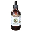 Stinginging Nettle Alcohol-Free Liquid Extract, Organic Sting Nettle (Urtica Dioica) Dried Leaf Glycerite 2 oz