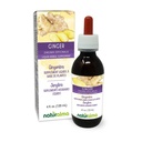 Naturalma Ginger (Zingiber officinalis) Rhizome Alkoholfri tinktur - 4 fl oz flytande extrakt i droppar - Herbal Supplement - Vegan