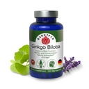 Ginkgo Biloba, Memory, Focus & Brain Function Support, Antioxidant-Rich, Plant-Based, GMP, Herbal Nootropic Vegetarian Capsules, 120 Count (Pack av 1)