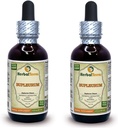 Bupleurum (Bupleurum Chinense) Tinktur, Organic Dried Root Liquid Extract (Brand Name: HerbalTerra, Proudly Made in USA) 2x2 fl.oz (2x60 ml)