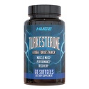 Turkesteron Supplement (500mg) Ajuga Turkestanica Extract, Förbättra Lean Muscle Mass, träningsprestanda, förbättra muskelåterhämtning med vår Softgel Absorption Technology (60 Softgels)