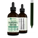 360 Nutrition Matcha Chlorophyll Liquid Drops med L-Theanine, Gluten Free & Vegan Internal Deodorant Supplement, stöder Gut Health, Digestion, Energy, Radiant Skin, Fast Absorption, 60 Servings