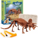 Geoworld Triceratops Dino Dig Kit - Montera en 8-tums autentisk dinosaurisk skelettmodell - Ultimate STEM Learning Experience för barnåldrar 6 +