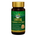 Zandu Livital tabletter, 100% ayurvediska ingredienser, skyddar lever mot olika hepatotoxiner | fördelaktigt i fettlever | Förbättrar matsmältningen och aptit & hjälpmedel i lever Detox