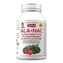 ANDREW LESSMAN ALA + NAC Alpha Lipoic Acid med N-Acetyl-Cysteine 360 kapslar - Ultra-High Potency, Anti-Oxidant stöd för nervsystemet, hjärta, hjärna, lever, njurar, lungor, energi. Inga tillsatser