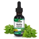 Naturens svar Nettle Leaf 1oz Extract | Prostate Suppot | Concentrated Dark Green Nettle Leaf Herbal Supplement | Non-GMO, Kosher, Gluten-Free och Alcohol-Free | Ensamräkning