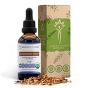 Echinacea Root USDA Organic Tincture | Alcohol-Free Extract, High-Potency Herbal Drops, Immune System Health | Tillverkad av 100% Certified Organic Echinacea Root (Echinacea Purpurea) 2 oz