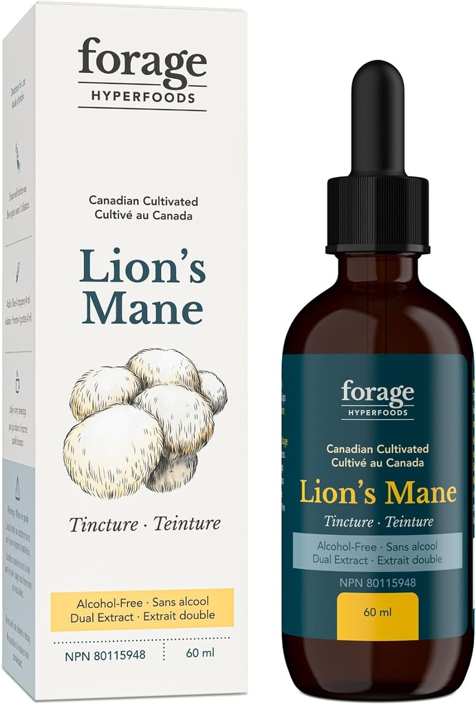 Lion's Mane Tincture, med Premium Mushroom Extract, för minnesförbättring och Nerve Support, Dual Extract, alkoholfri, 60 ml
