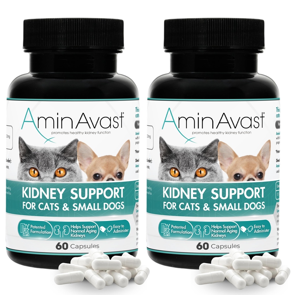 AminAvast Kidney Support Supplement för katter och små hundar, 300mg 2-Pack - Främjar naturlig njurfunktion - Hjälpmedel i hälsa och vitalitet hos åldrande njurar - enkelt administrerad - 60 Sprinkle kapslar