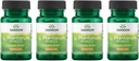 Swanson L. Plantarum - Digestive Supplement Promoting Gastrointestinal Balance & Bowel Regularity - Naturlig formel för att hjälpa till att minska uppblåsthet - (30 Veggie Capsules) 4 Pack