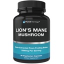 Organiska Lions Mane Mushroom Capsules - 1800mg Lion's Mane Mushroom Supplement Grown i USA - Nootropic Brain Supplement och Immune Support - Lions Mane Extract Powder - 90 Veggie Caps