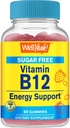 WellYeah Vitamin B12 1000mcg Sugar Free Gummies | Kosttillskott | för energi och metabolism Support | Strawberry smak | 60 greve