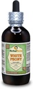 White Peony (Paeonia Lactiflora) Glycerite, Organic Dried Roots Alcohol-Free Liquid Extract (Brand Name: HerbalTerra, Proudly Made in USA) 4 fl.oz (120 ml)