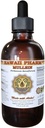 Mullein Liquid Extract, Organic Mullein (Verbascum densiflorum) Tinktur, Herbal Supplement, Hawaii Pharm, Made in USA, Hawaii Pharm, Made in USA 2 fl.oz