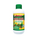 Broncolin Honey Syrup med Propolis, Syrup med naturliga växtextrakt för att uppdatera din hals, naturliga ingredienser, Elderberry, Eucalyptus, Peppermint Oil, 11,4 Oz, flaska
