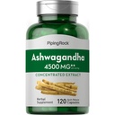 Piping Rock Ashwagandha Capsules | 120 greve | Herbal Supplement med Black Pepper Extract | för kvinnor och män | Non-GMO, Gluten Free