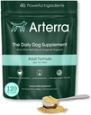 Adult Dog Powder Supplement & Food Topper – 46 Ingredienser för Gut, Immune & Brain Health – Daily Longevity Multivitamin för Whole Body Wellness | 120 skopor
