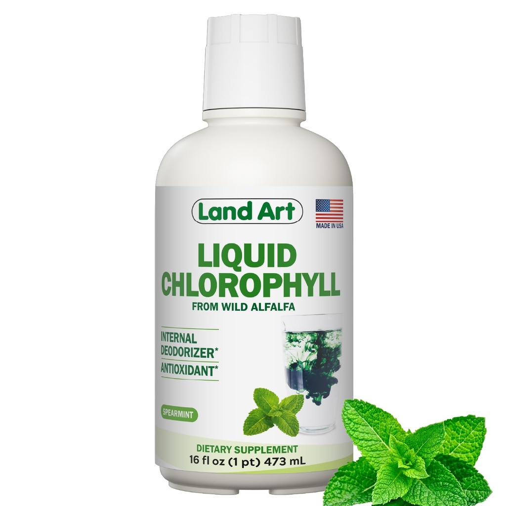 Land Art - Liquid Chlorophyll Mint - Cold-Extracted från Wild Non-GMO Alfalfa - Natural Clorofila Liquida - Antioxidant - Detox Supplement - Boost Energy - Alkalizing & Body Odor Neutralizer - 16 floz