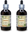 Rhodiola (Rhodiola Rosea) Tinktur, Organic Dried Roots Liquid Extract (Brand Name: HerbalTerra, Proudly Made in USA) 2x4 fl.oz (2x120 ml)