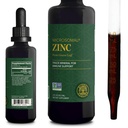 Global Healing USDA Organic Zink Supplements Liquid - Ren Vitamin Drops för Immune System Boost, Hormone Balance och Healthy Aging - Naturliga, Vegan-Friendly, Non-GMO, Organic Zinc Vitamins (2 Fl Oz)