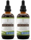 Secrets of the Tribe Stinging Nettle Root Tincture Alcohol Extract, High-Potency Herbal Drops, Tincture Made från Stinging Nettle Urtica Dioica Respiratory and Urinary System Health 2x4 oz