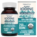 Organisk jod tillskott från Sea Vegetable Complex, Whole Food & Raw Form - Iodine Plus Trace Mineral Complex - Innehåller renaste isländska Sea Kelp, Irish Moss & Bladderwrack (250 mcg)