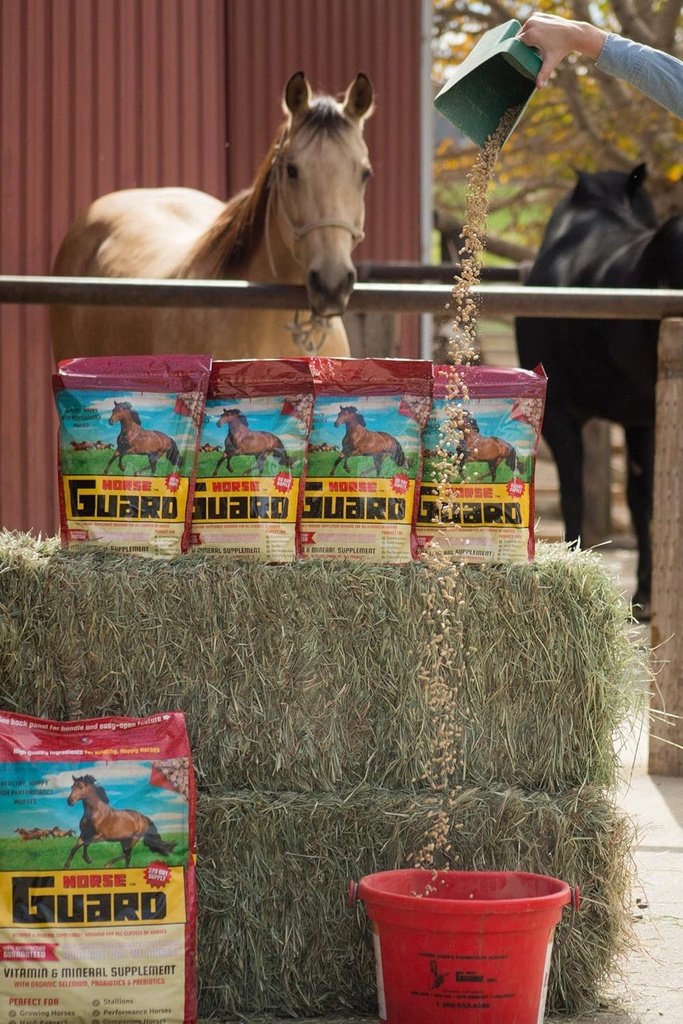 Horse Guard 4,6 lb, Equine Vitamin Mineral Supplement med organisk selen & Vitamin E