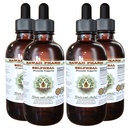 Selfheal Alcohol-Free Liquid Extract, Organic Selfheal (Prunella Vulgaris) Torkade Herb Glycerite Natural Herbal Supplement, Hawaii Pharm, USA 4x4 fl.oz
