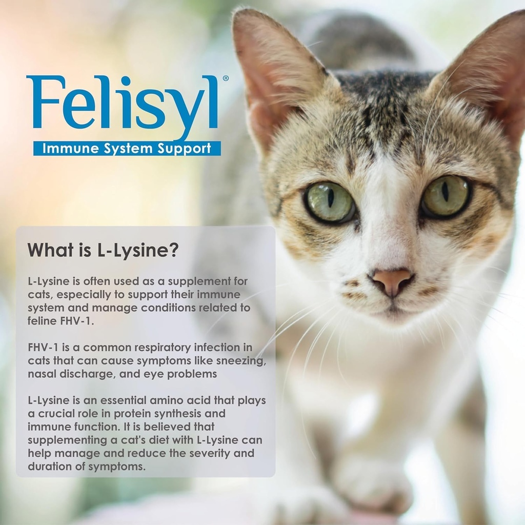 L-Lysine Gel för katter - Immunsystemsupport - Tilläggsstöd för hälsosam mat, andning och vision - Lax-Flavored - Tillverkad i USA - 5 oz