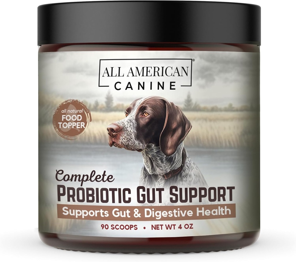 Komplett Probiotisk Gut Support - Förhindrar Digestive Gut Health, ökar immunsystemet - Blend hjälper till att förebygga Digestive Issues Diarrhea, Förstoppning och Inflammatorisk 90 Servering - 5oz