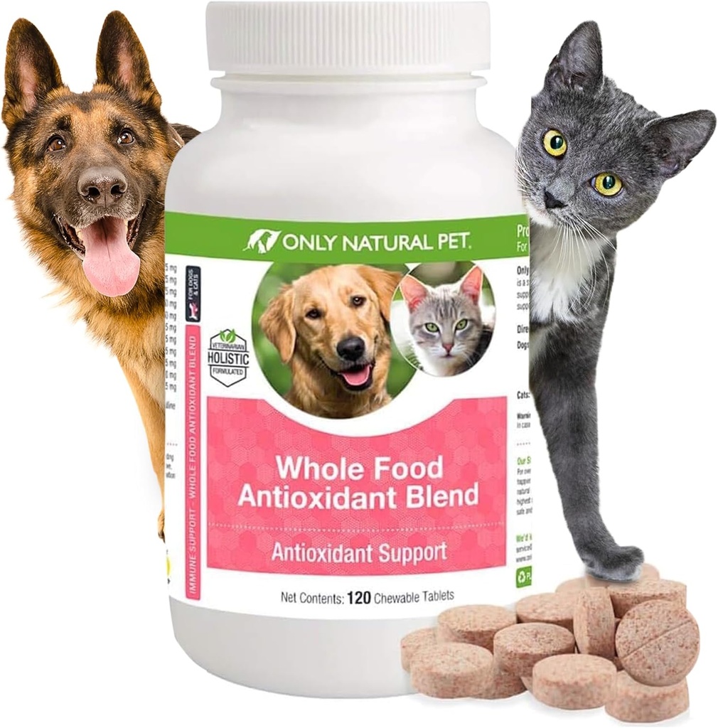 Endast Natural Pet Whole Food Antioxidant Green Tea & Berry Antioxidant Vitamin Supplement Blend för hundar, för att stödja ett hälsosamt immunsystem, bekämpa gratis radikala skador - 60 mjuka Chews