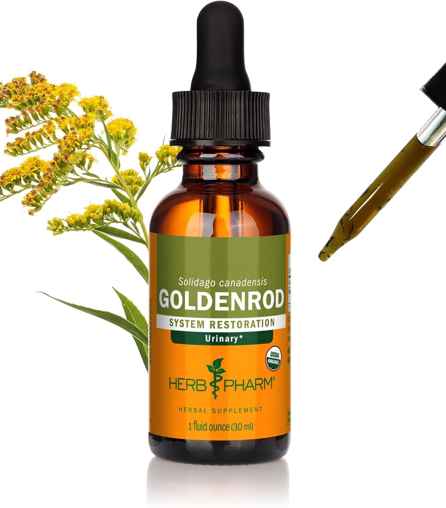 Herb Pharm Certified Organic Goldenrod Liquid Extract för Urinary System Support, 1 Fl Oz (Pack of 1)