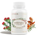 CheezhengHimalaya Rhodiola och Goji Berry Daily Supplement, Support Energy, Mental Calmness, Boost Digestion, Enhance Immunity, förbättrar Oxygen Utilization, Tibetan Natural Herbs, 90 Veggie Capsules
