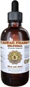 Selfheal Liquid Extract, Organic Selfheal (Prunella Vulgaris) Tinktur, Herbal Supplement, Hawaii Pharm, Made in USA, 4 fl.oz