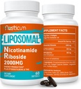 2000 MG Liposomal Nicotinamide Riboside Supplement med TMG & Pterostilbene, hög biotillgänglighet NAD + Boosting Supplement, överlägsen Niacinamide för energi, immunitet, ålder motstånd, 120 Softgels