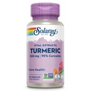 SOLARAY Turmeric Supplement 300 mg - Turmeric Root Extract med 95% Curcumin - Joint Support Supplement för gemensam hälsa och komfort - Icke-GMO, Vegan, Gluten Free, 60-dagars garanti, 60 portioner