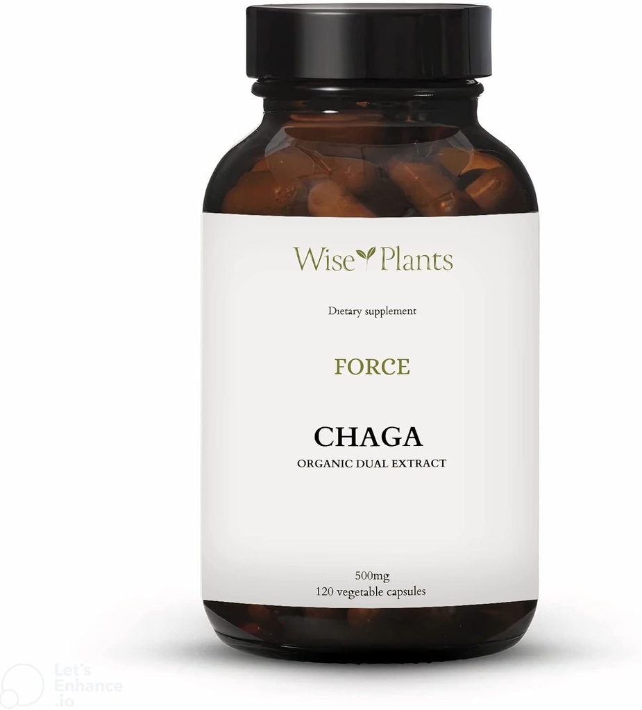 Chaga Mushroom Supplement. Dual Extract, Pure Fruiting Body, 30% Polysackarider, 500 mg, 120 vegecaps (120-Day Supply). Kan stödja hälsosam matsmältning, immunfunktion och främja hjärthälsa.