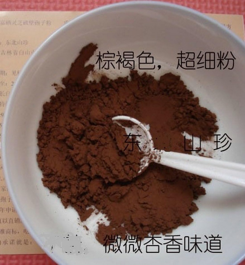 Duan-Wood 98% Shell-Broken LINGZHI Ganoderma Reishi Spore Powder 100Grams (3,5 oz.) Vakuumpaket