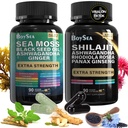 Boysea. Shilajit och Sea Moss Bundle-90 greve - Sea Moss, Black Seed Oil, Ashwagandha, Ginger & Shilajit, Rhodiola Rosea, allt i 1 kosttillskott (1 Pc)